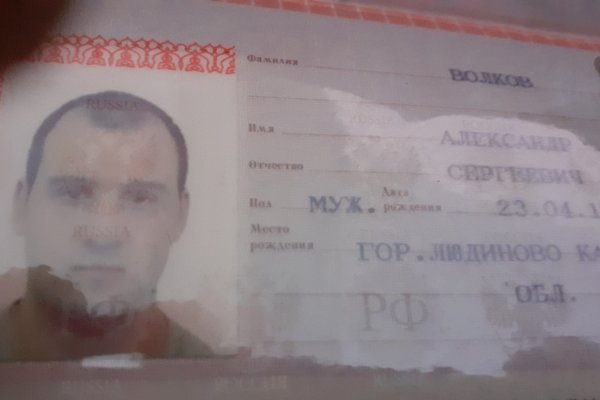 Кракен актуальное зеркало
