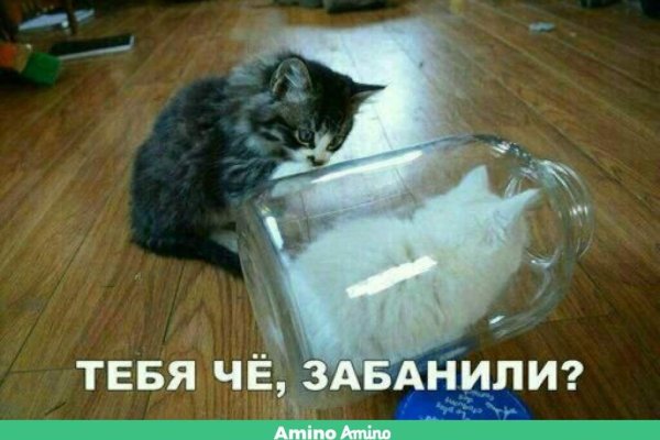 Кракен 9ат