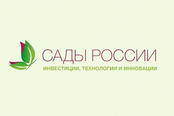 Кракен нет